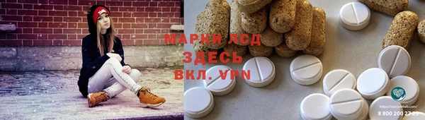 амф Бородино