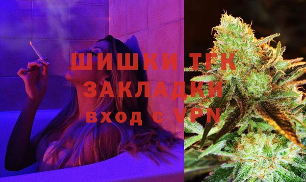 шишки Бронницы