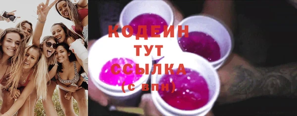 амф Бородино