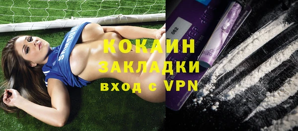 шишки Бронницы
