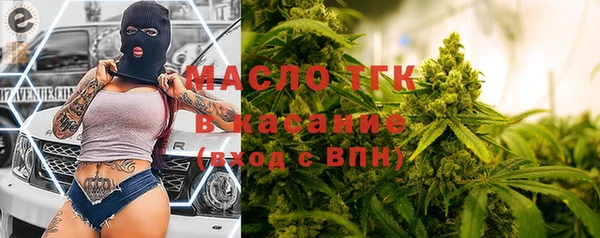 амф Бородино