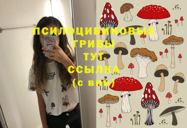 гидра Бугульма