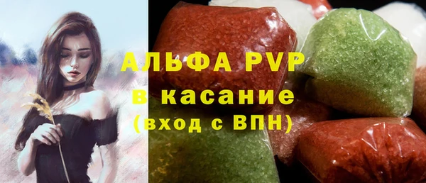 амф Бородино