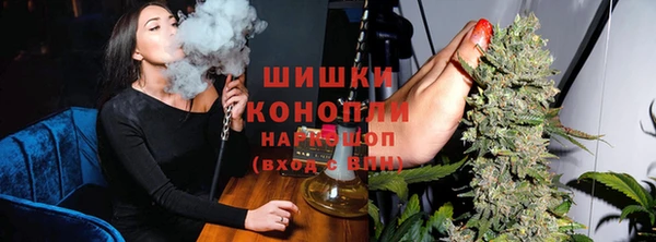амф Бородино