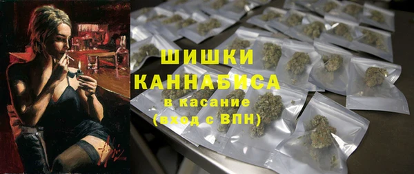 шишки Бронницы