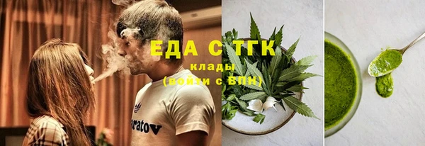 амф Бородино