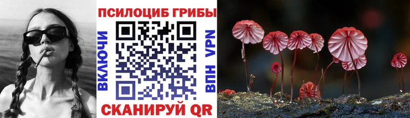 Псилоцибиновые грибы Cubensis  сколько стоит  Черноголовка 